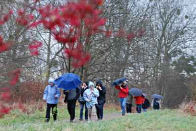 kollegen2008d_010.JPG