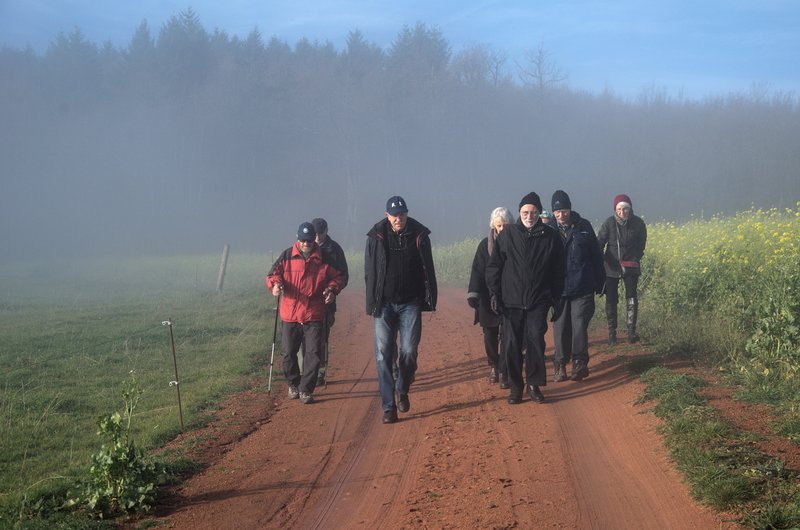 kollegen2015b_009.jpg